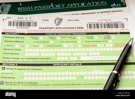 check my irish passport application.